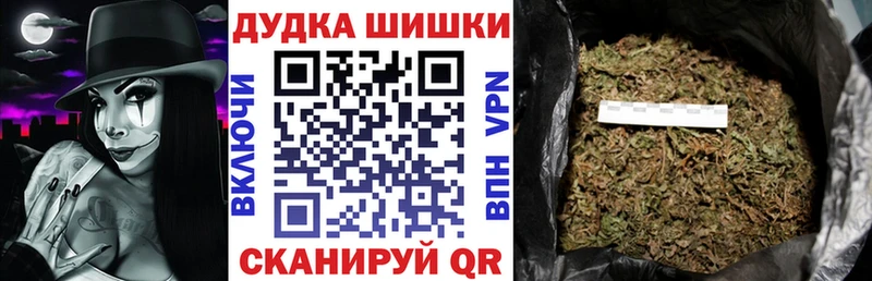 Где найти наркотики Приозерск Alpha PVP  Мефедрон  Псилоцибиновые грибы  COCAIN  Гашиш 