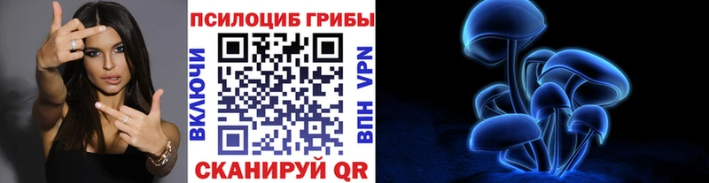 купить наркотик  Приозерск  Псилоцибиновые грибы Cubensis 